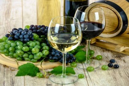 Vin i glas og druer